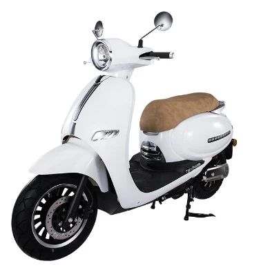 Xe Điện Cho Người Lớn Nặng 300 Lbs