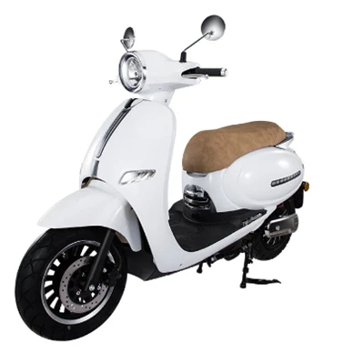 Xe Điện Cho Người Lớn Nặng 300 Lbs